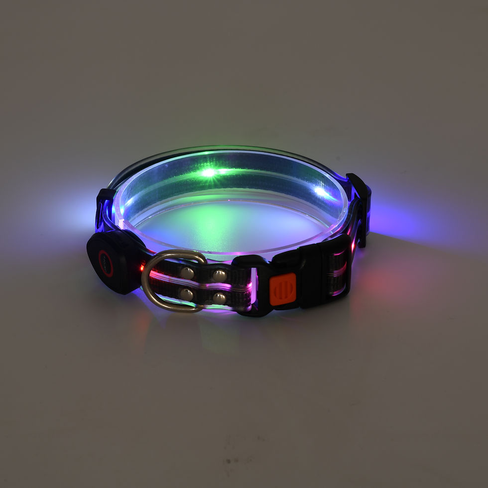 Thumbnail: JellyGlow (Leash+Collar）