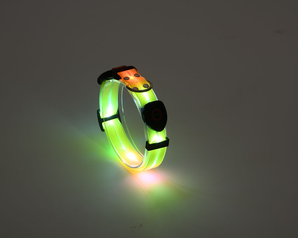 Thumbnail: JellyGlow (Leash+Collar）