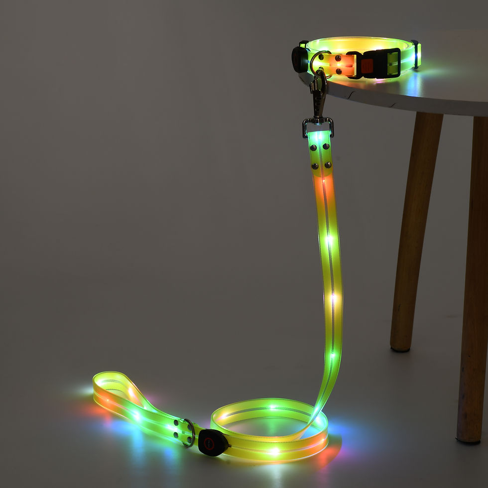 Thumbnail: JellyGlow (Leash+Collar）