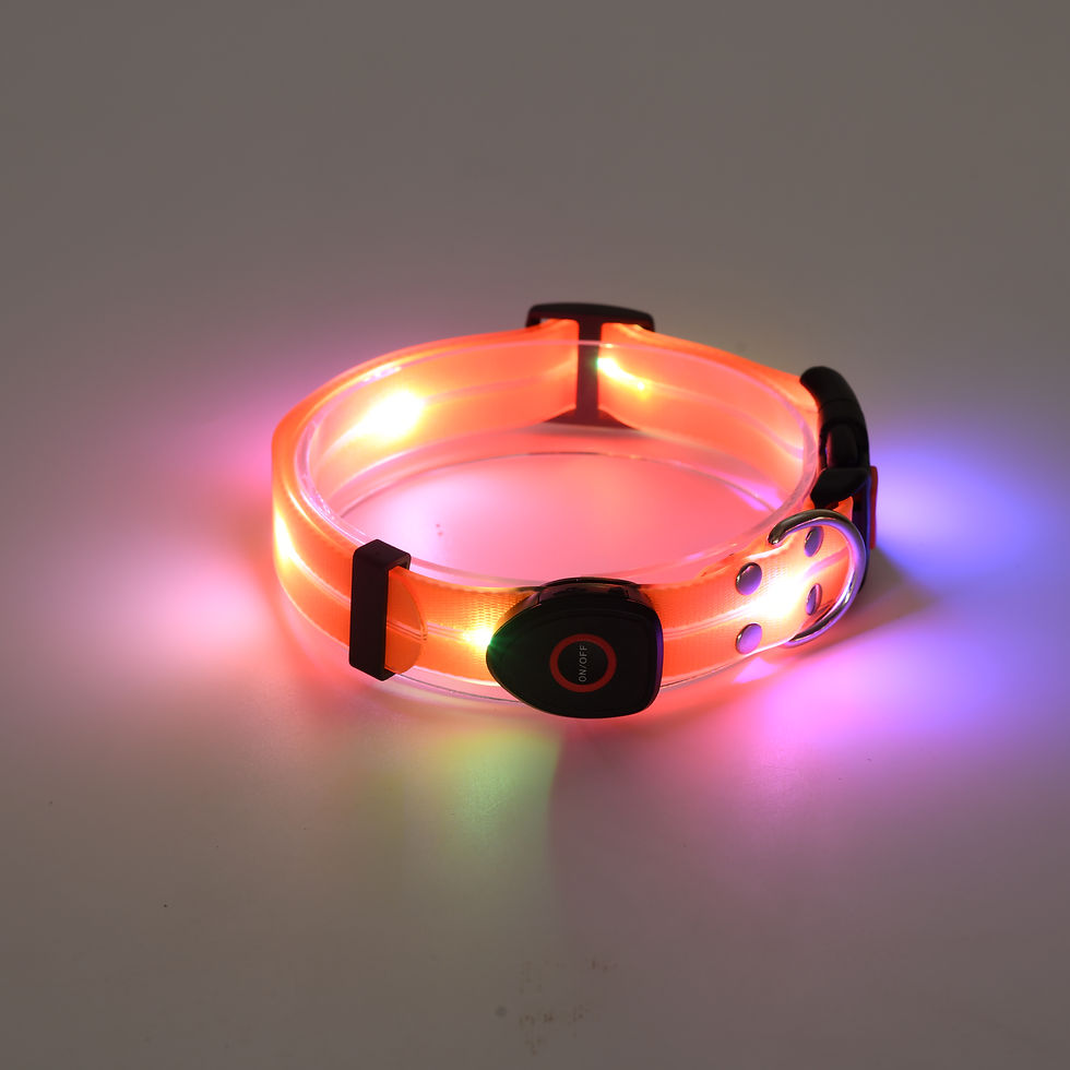 Thumbnail: JellyGlow (Leash+Collar）