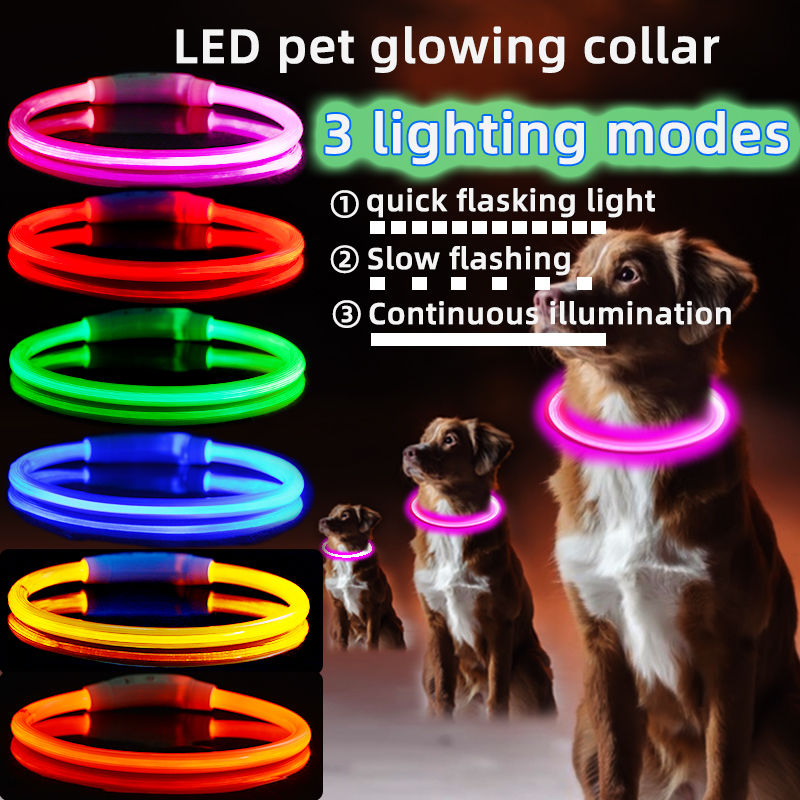 SafeWalk Collar