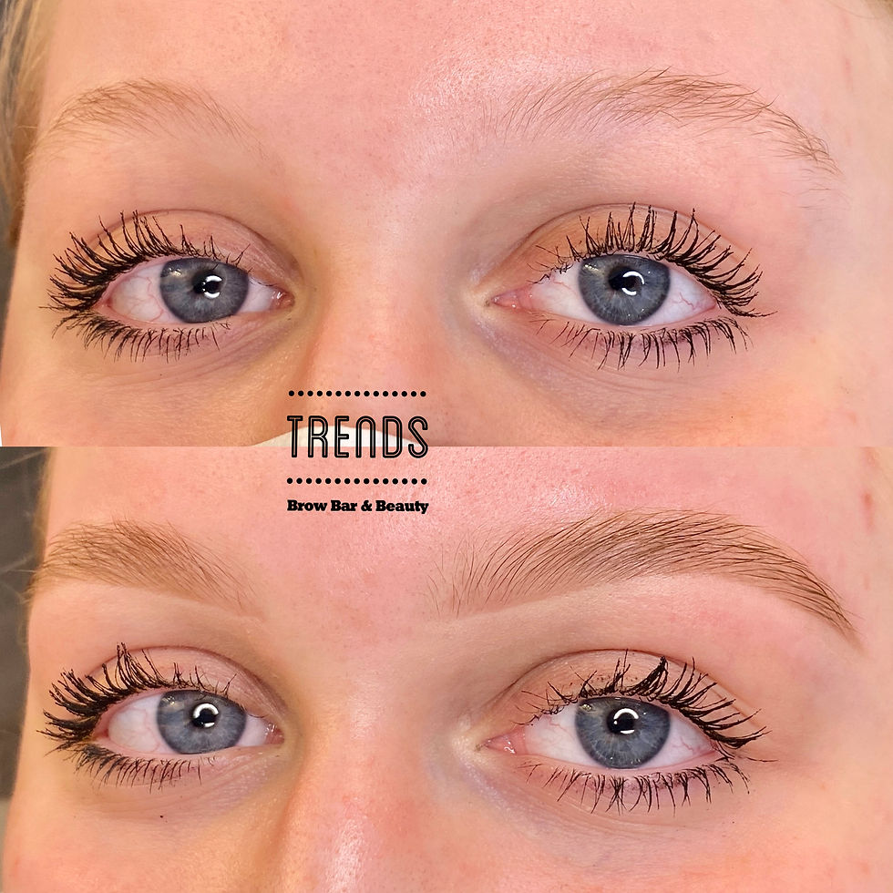 Signature HD Brows - Trends Brow Bar