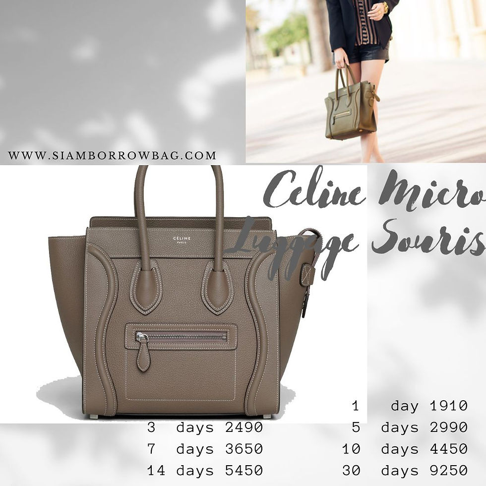 ภาพขนาดย่อ: CEL015: CELINE MICRO Luggage - SOURIS