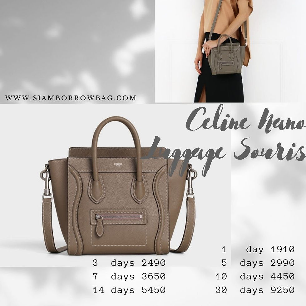 ภาพขนาดย่อ: CEL017 :  CELINE NANO Luggage - SOURIS