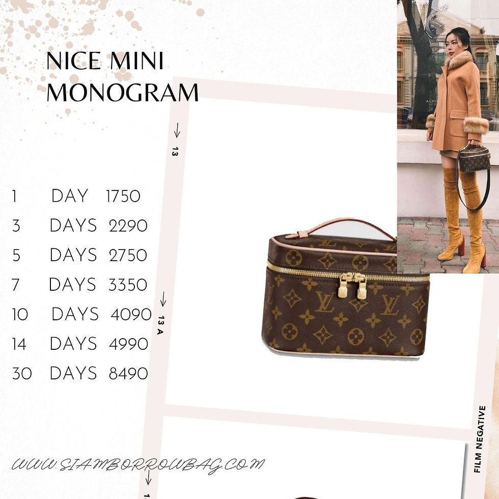 ภาพขนาดย่อ: LV062 :  LOUIS VUITTON NICE MINI Monogram