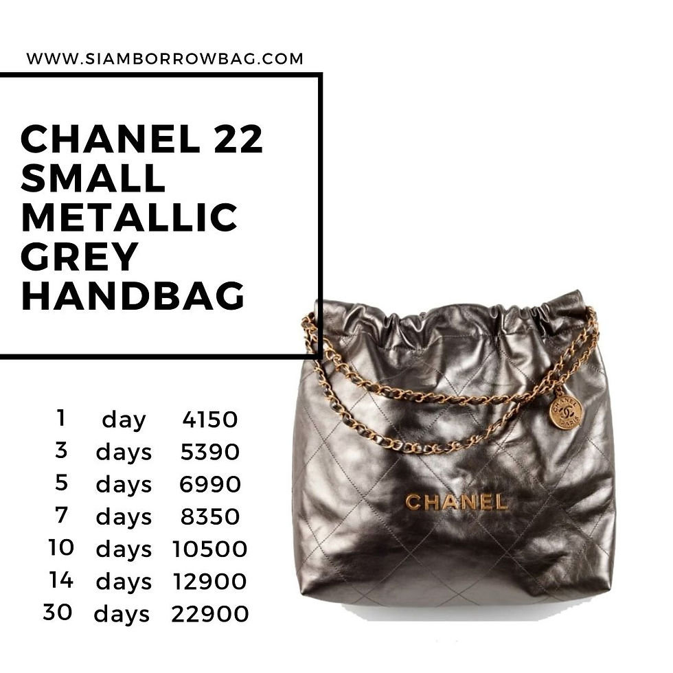 ภาพขนาดย่อ: CHA111 : CHANEL 22 Small Metallic Grey Handbag