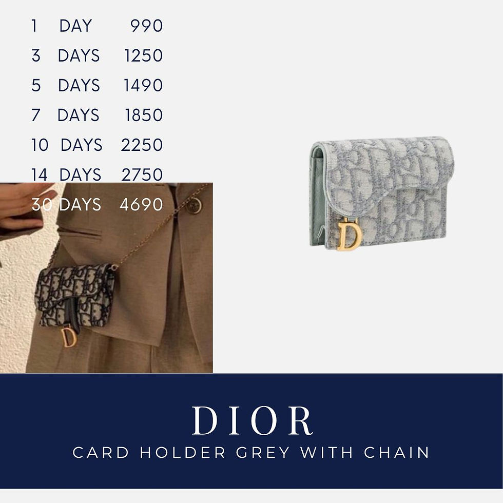 ภาพขนาดย่อ: CD040 : DIOR Saddle Flap CARD HOLDER GREY with Chain