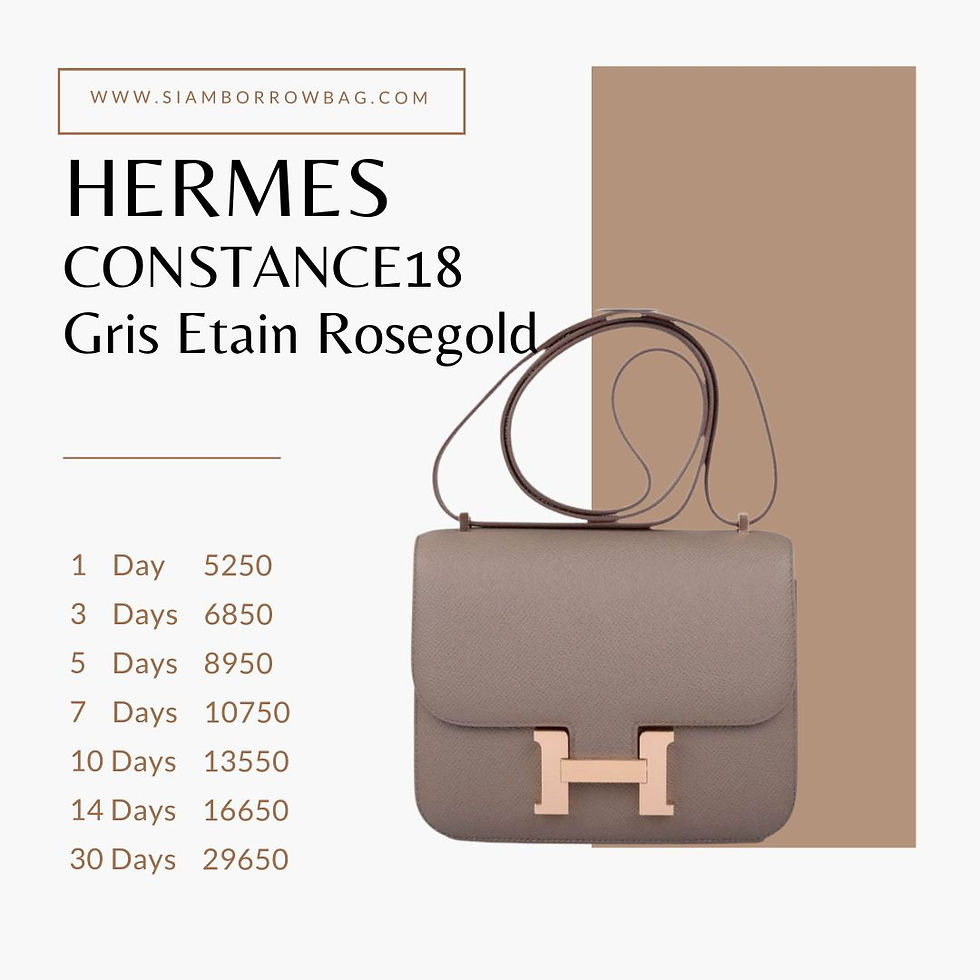 ภาพขนาดย่อ: HER042 :  HERMES CONSTANCE 18 Epsom GRIS ETAIN ROSEGOLD Hardware