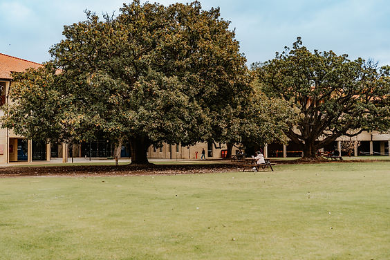 26-08-2024 - Oak Lawn (9).jpg