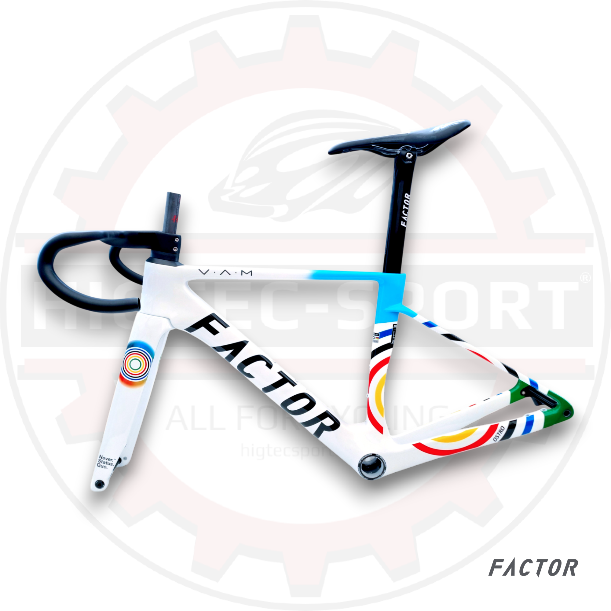 Marco de Carbono Factor Ostro 2.0 - Frenos de Disco - Talla 45