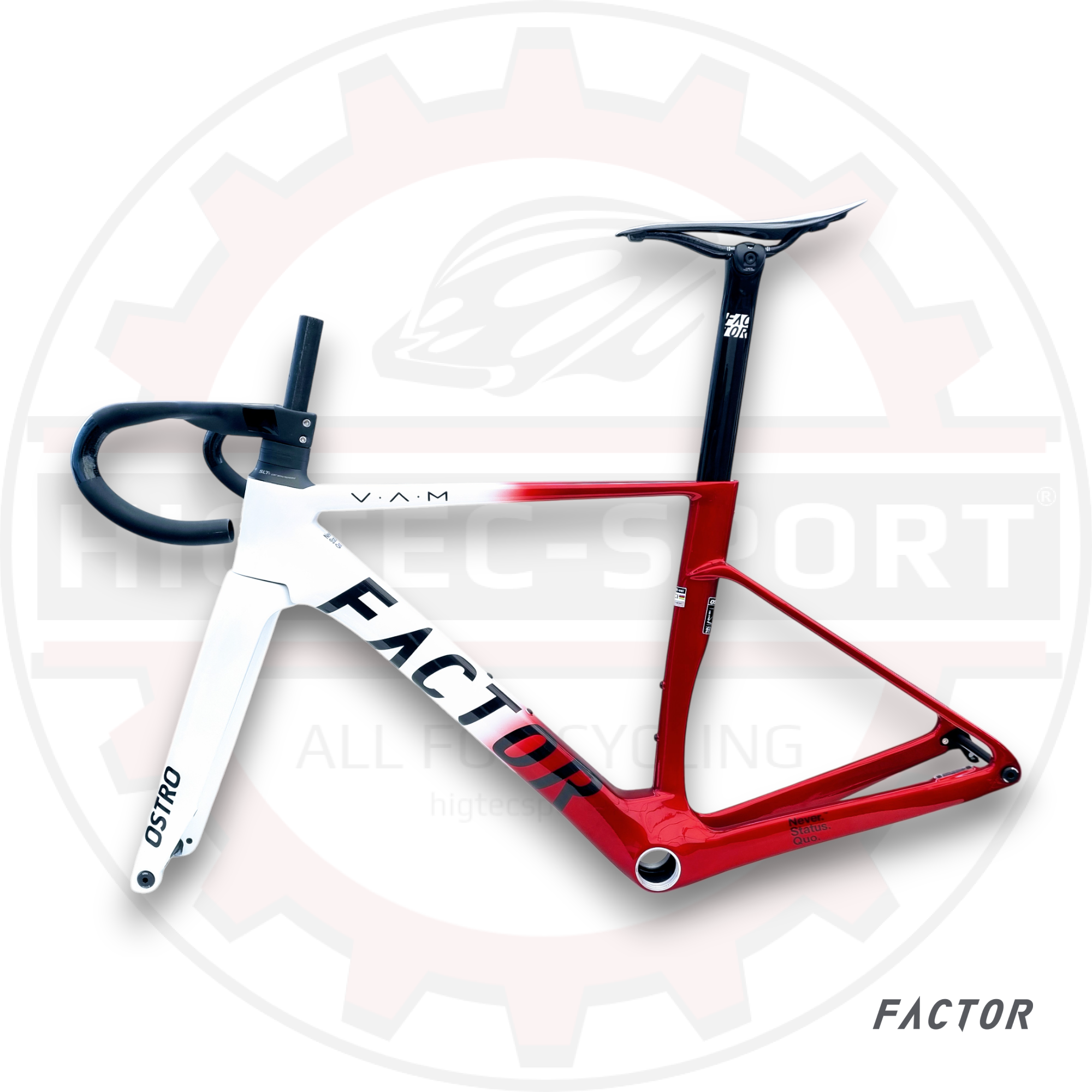 Marco de Carbono Factor Ostro 2.0 - Frenos de Disco - Talla 49