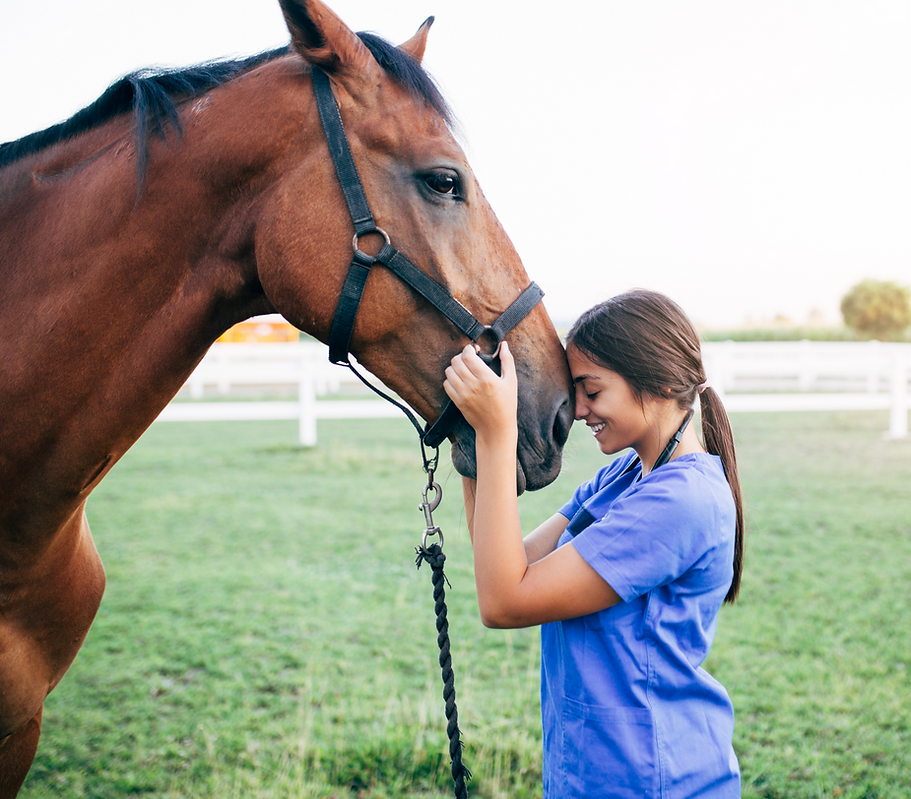 Vet Petting a Horse_edited.png