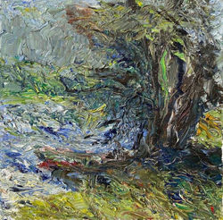 L'été à Seyssel, France.