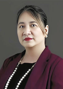 Chartered Professional Accountant