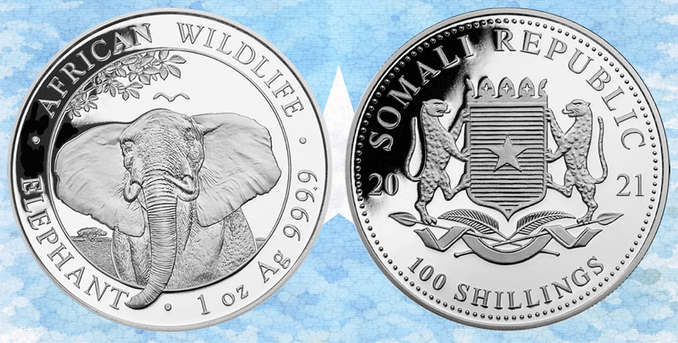 Somalia. 100 shillings, 2021. Elefante.