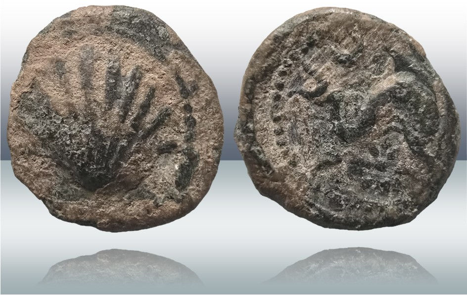 Arse. 1/8 de unidad de Arse. Sagunto