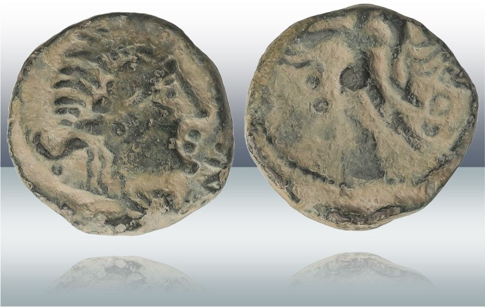 Semis de Corduba. Semis de Cordvba. Córdoba.