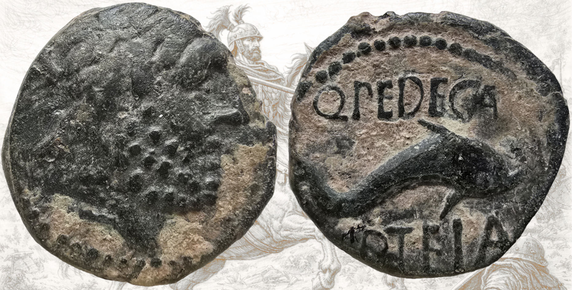 Semis de Carteia. Carteia. San Roque. Leyenda Q. PEDCA[I] Q. Pedecai (Desconocido).