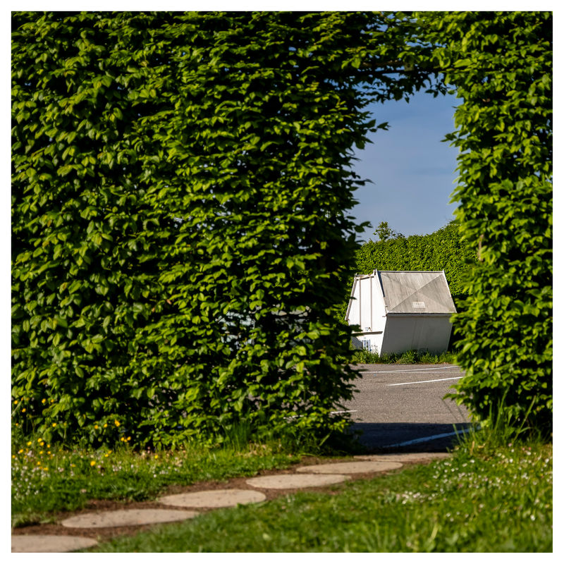 an opening in a green hedge offering a glimpse of a white container in the background