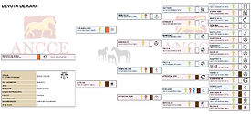 Genealogía Devota de Kara