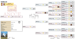 Genealogía Yedra VIII