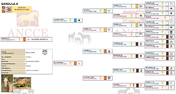 Genealogía Gandula A