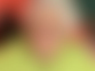 GRASER- Phyllis F. (née Hall)