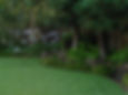 Evergreen Landscaping