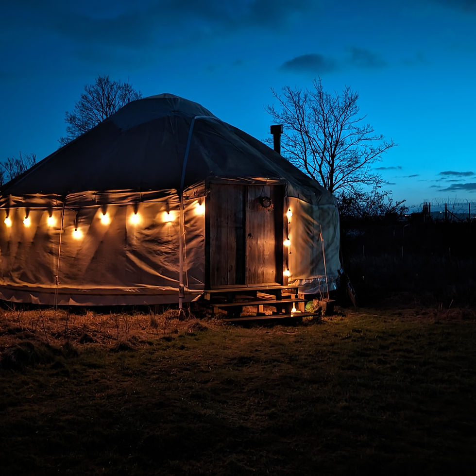 Winter Solstice Wild Women's Circle