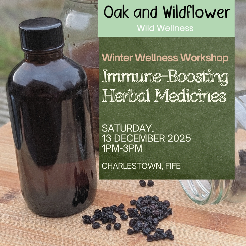 Winter Wellness Workshop - Immune-Boosting Herbal Medicines