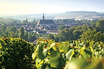 chablis new.jpg