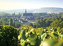chablis new.jpg