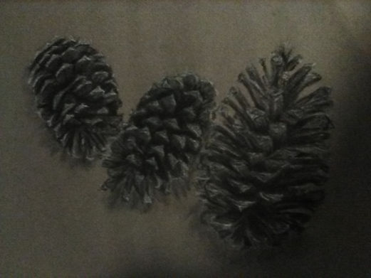 illustration 13.jpg