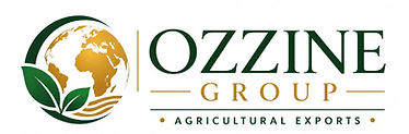 logo 2.jpeg