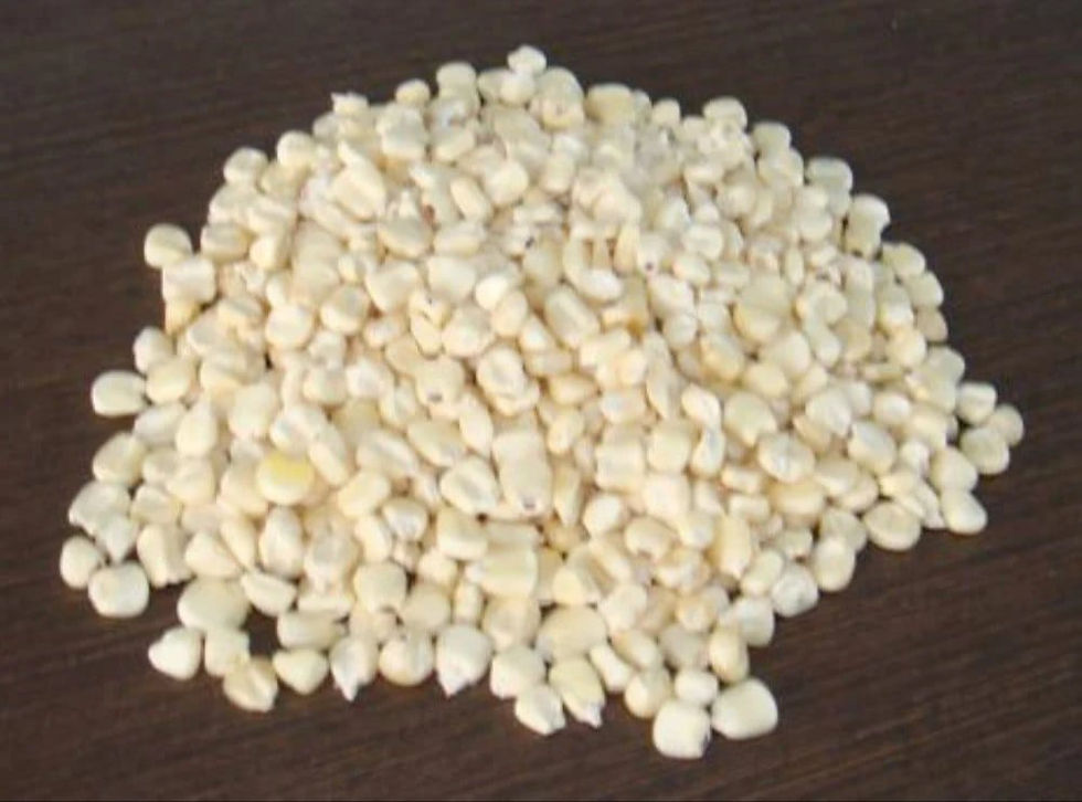 Miniaturbild: Premium White Maize Corn from Tanzania cleaned and processed for export, food production, and wholesale supply worldwide