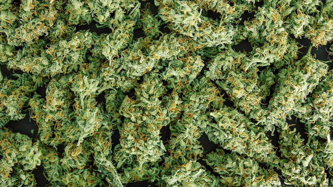 cannabis.png