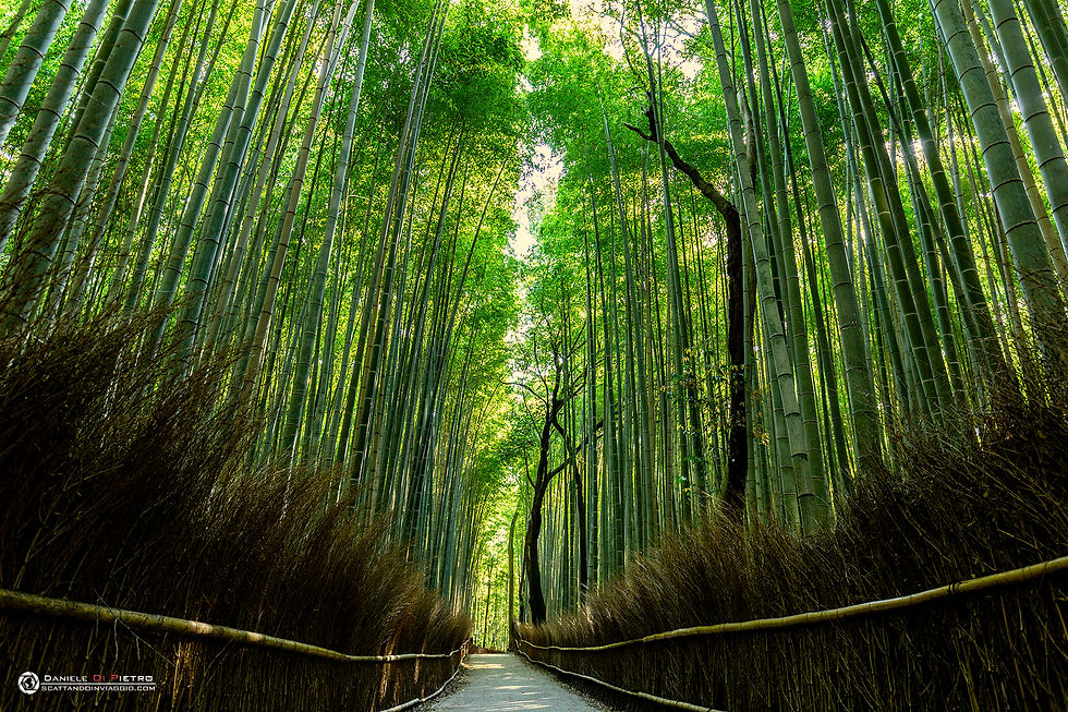 Arashiyama, Kyoto