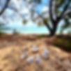 ollies beach 1024.jpg