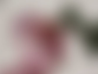 SOUPE DE BETTERAVE ET CHOU-FLEUR ROTIS AU FOUR 