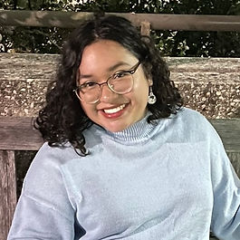 Undergraduate Research Assistant