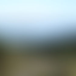 Chapter 22: The last river