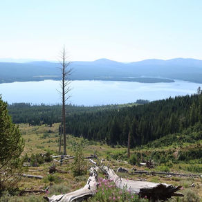 Chapter 22: The last river