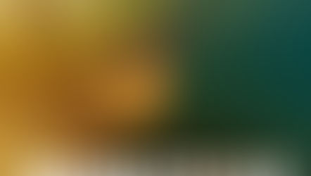 Rockstar Sommer: Gesamtausgabe von Sandra Helinski