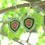 Thumbnail: Watermelon Tourmaline Joy Earrings