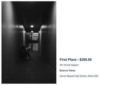 Houston Bar Association Photography Contest 20-21