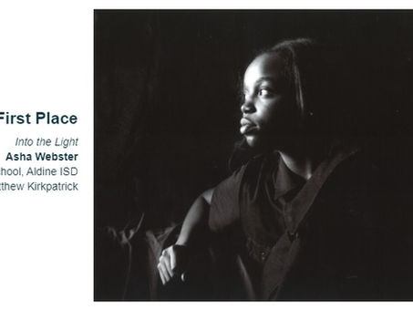 Houston Bar Association Photography Contest 19-20