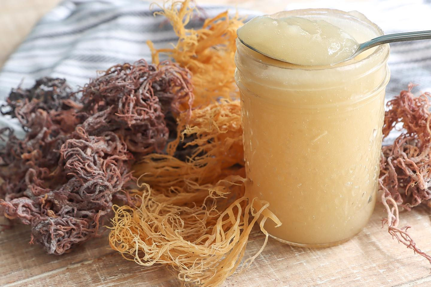 Regular Sea Moss Gel