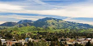 What Are the Best Neighborhoods in Walnut Creek, CA?