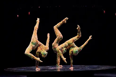 Cirque-du-Soleil-KOOZA-Contortion-1.webp