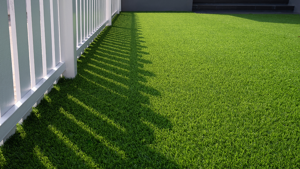 SYNTHETIC TURF YARD